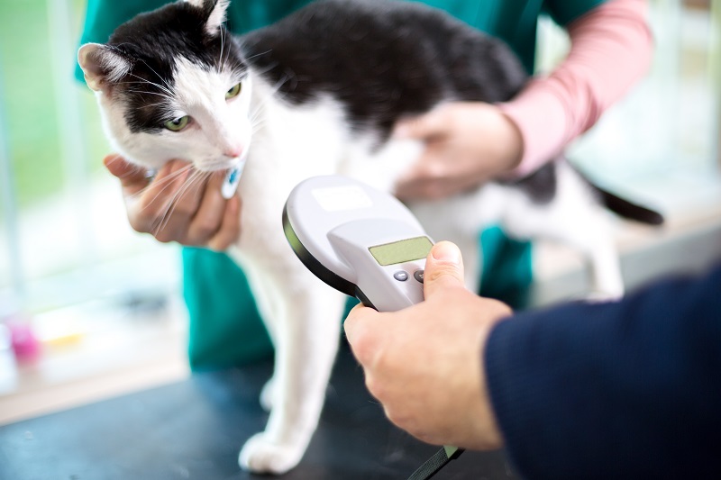 Microchipping Wayne, NJ